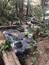 Cargar imagen en el visor de la galería, La Mejor experiencia de Glamping en Ciudad de Mexico, Naucalpan y Alrededores. Ven reserva y disfurta de una experiencia inolvidable en la naturaleza