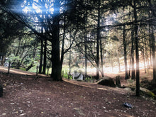 Cargar imagen en el visor de la galería, La Mejor experiencia de Glamping en Ciudad de Mexico, Naucalpan y Alrededores. Ven reserva y disfurta de una experiencia inolvidable en la naturaleza