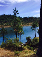 Cargar imagen en el visor de la galería, La Mejor experiencia de Glamping en Ciudad de Mexico, Naucalpan y Alrededores. Ven reserva y disfurta de una experiencia inolvidable en la naturaleza